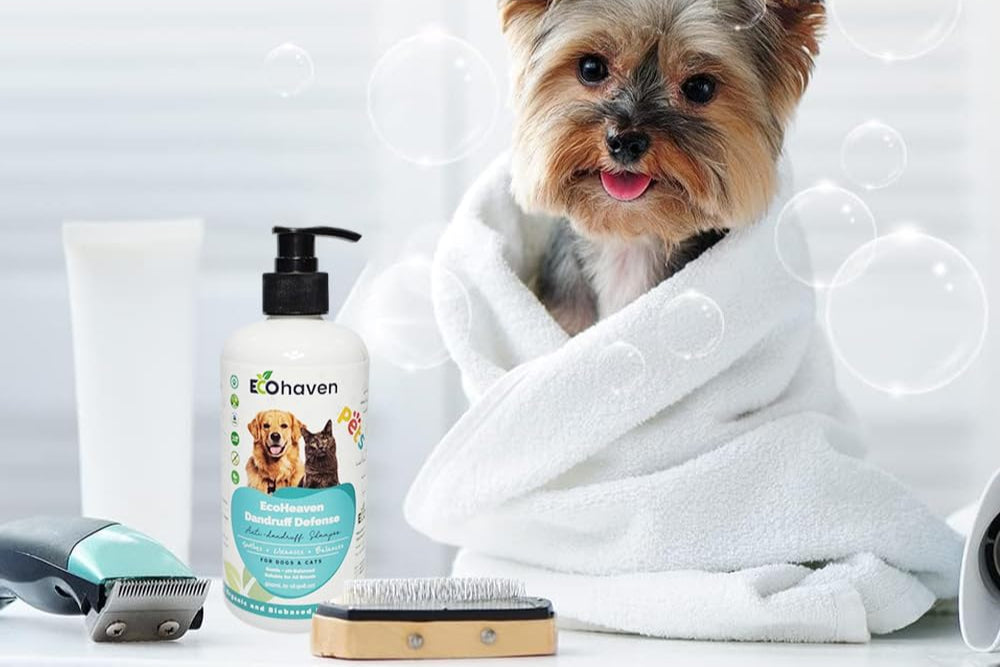 Organic Dandruff Defense Anti-Dandruff Shampoo