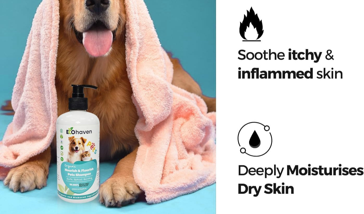Organic Nourish & Flourish Pet Shampoo